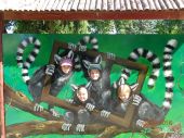 Foto - 16